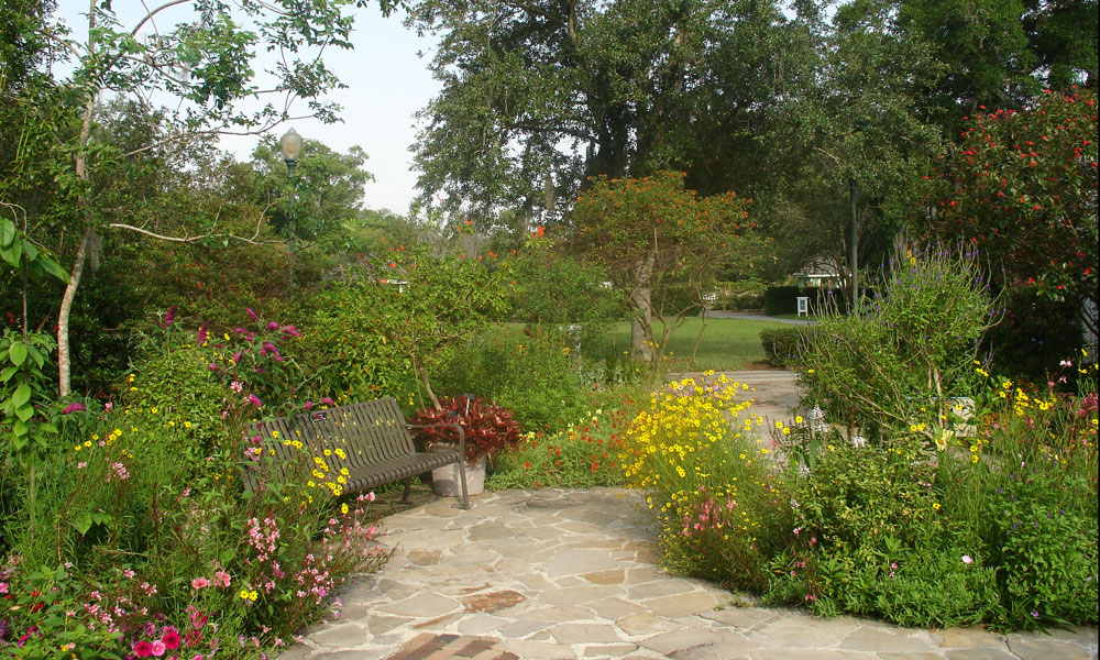 Leu Gardens Today's Orlando