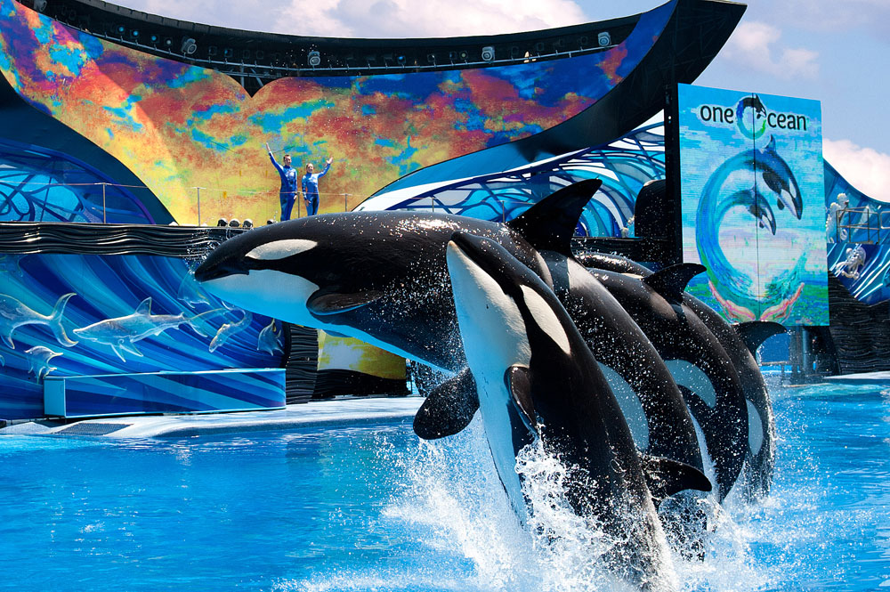 SeaWorld Today s Orlando