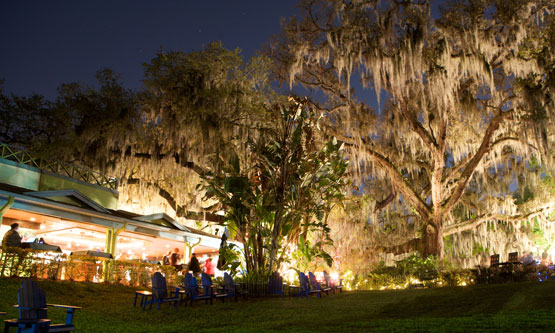 Popcorn Flicks In The Park Today S Orlando