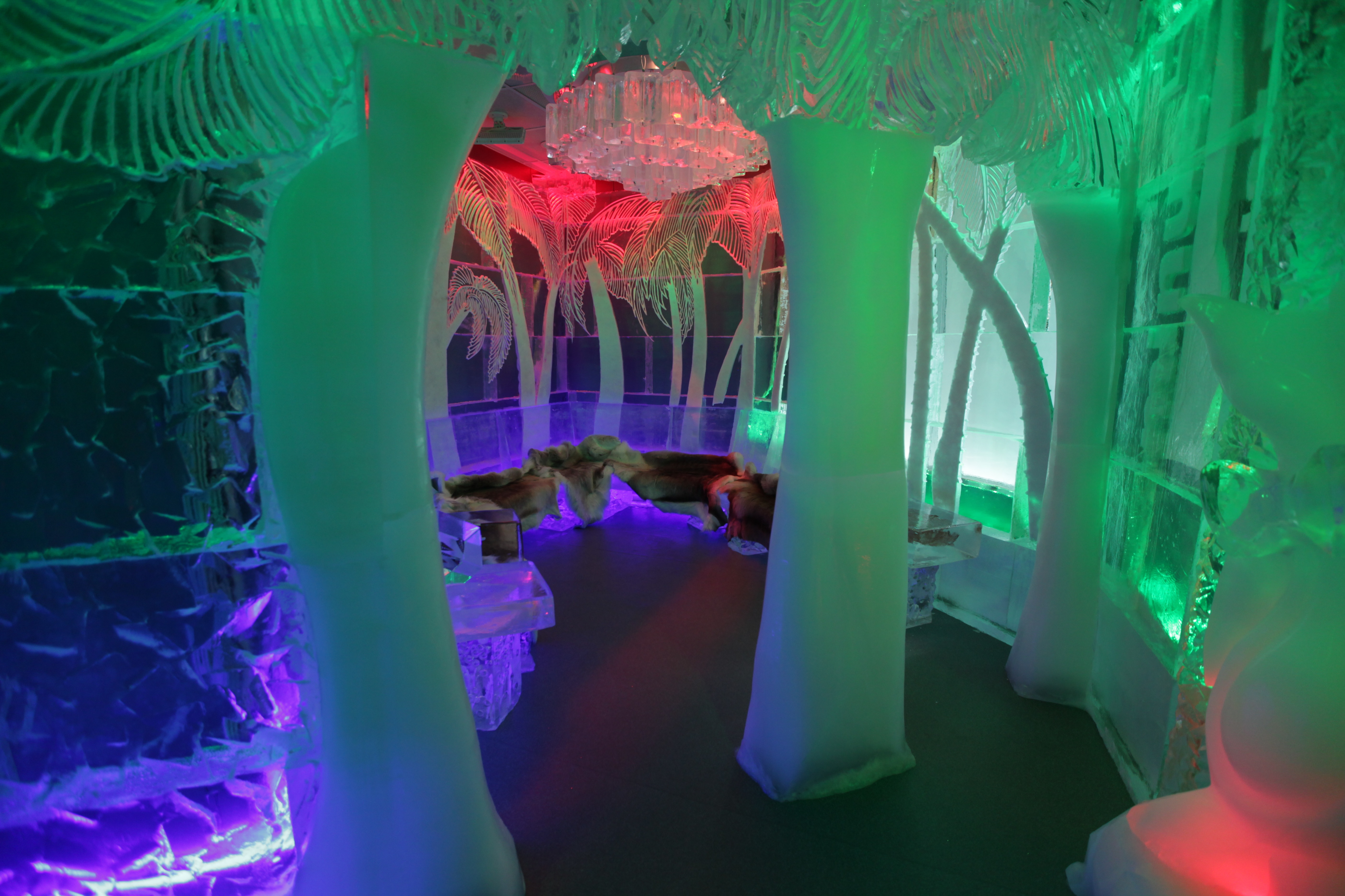 Minus5 Ice Bar Today's Orlando