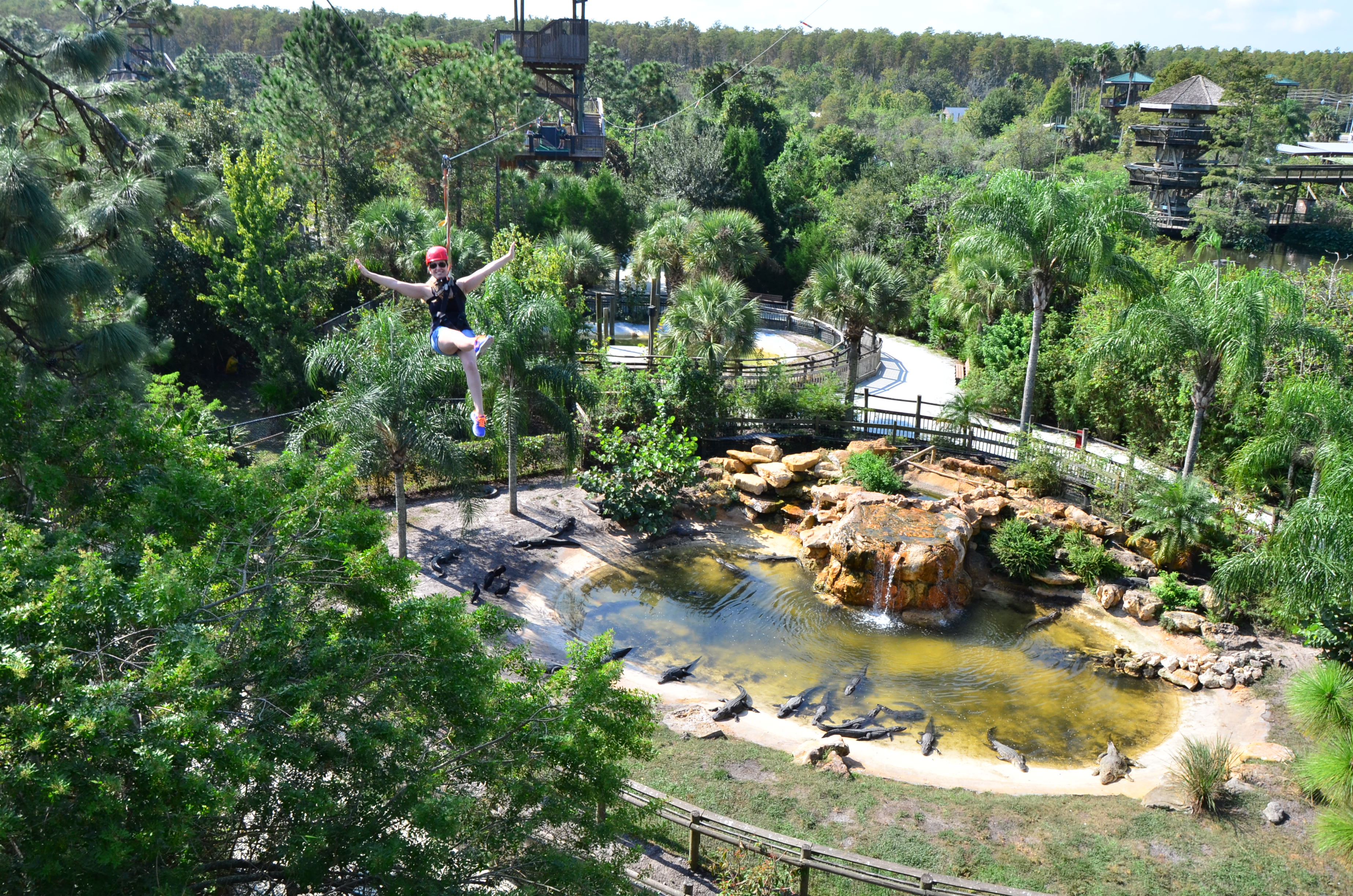 Gatorland Today s Orlando