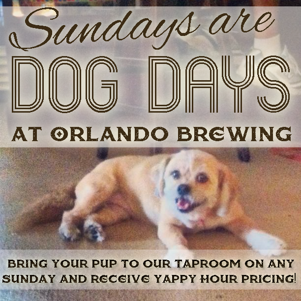 Dogs Day Out | Today's Orlando