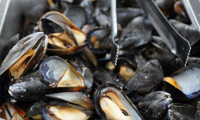 There's more than just mussels being served at The Taste of West Orange, but there are also mussels. There's more than just mussels being served at The Taste of West Orange, but there are also mussels.