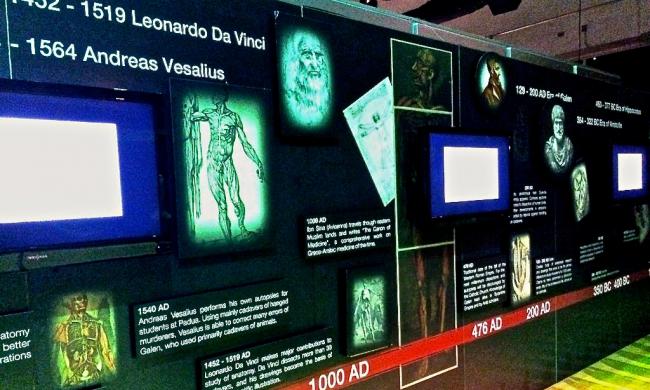 Our Body: The Universe Within is an attraction on International Drive that shows real human bodies. Our Body: The Universe Within is an attraction on International Drive that shows real human bodies.