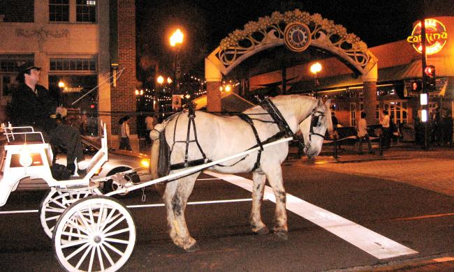 A Hitch 'N Time offers carriage rides through downtown Orlando.