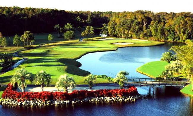 Disney's Palm Golf Course features lakes, palm trees and sloping greens.
