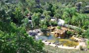 Gatorland's zip line takes you more than seven stories high and at speeds up to 30 mph.