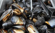 There's more than just mussels being served at The Taste of West Orange, but there are also mussels.