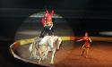 The seriously talented performers make balancing on moving horses look easy.