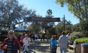 Crowds showed up to support SeaWorld ... and beer and barbeque