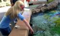 We fed the rays shrimp — a total must-do if you visit the park!