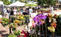 Fresh flowers and handmade crafts are sold weekly at the farmer's market.