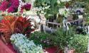 Beautiful flowers and plants are on sale every Sunday at the Orlando Farmer's Market.