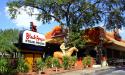 Dine at one of Orlando's places to eat steak near Lake Buena Vista.