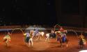 Arabian Nights Dinner Show includes numerous group performances on horseback.
