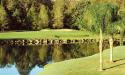 The Palm Golf Course has nine water hazards.