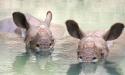 The Zoo is home to more than 400 animals.