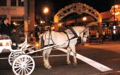 A Hitch 'N Time offers carriage rides through downtown Orlando.