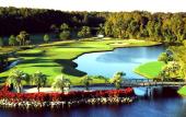 Disney's Palm Golf Course features lakes, palm trees and sloping greens.